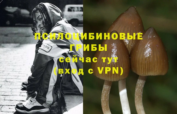 трава Нязепетровск