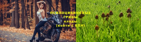 ALPHA-PVP Няндома