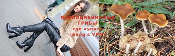трава Нязепетровск