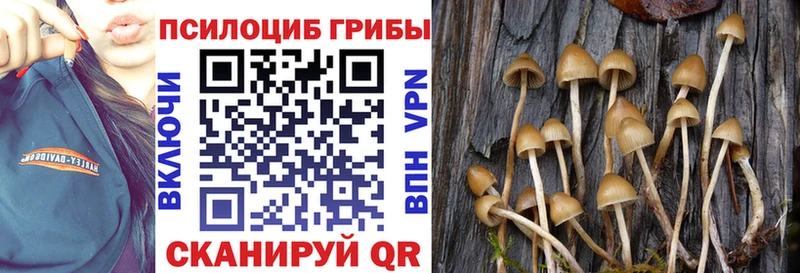 Галлюциногенные грибы прущие грибы купить наркотик Ишим