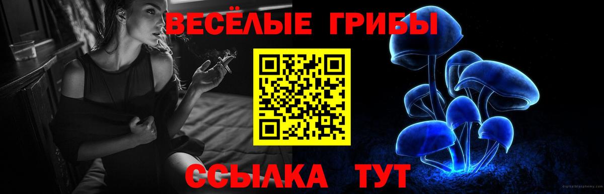 Ишим  Галлюциногенные грибы ЛСД  закладка  Вход с VPN  Галлюциногенные грибы мухоморы 